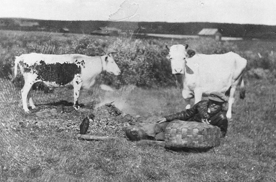 Lainio 01 E.jpg - Isak Viikusjärvi, "Iskoenen".